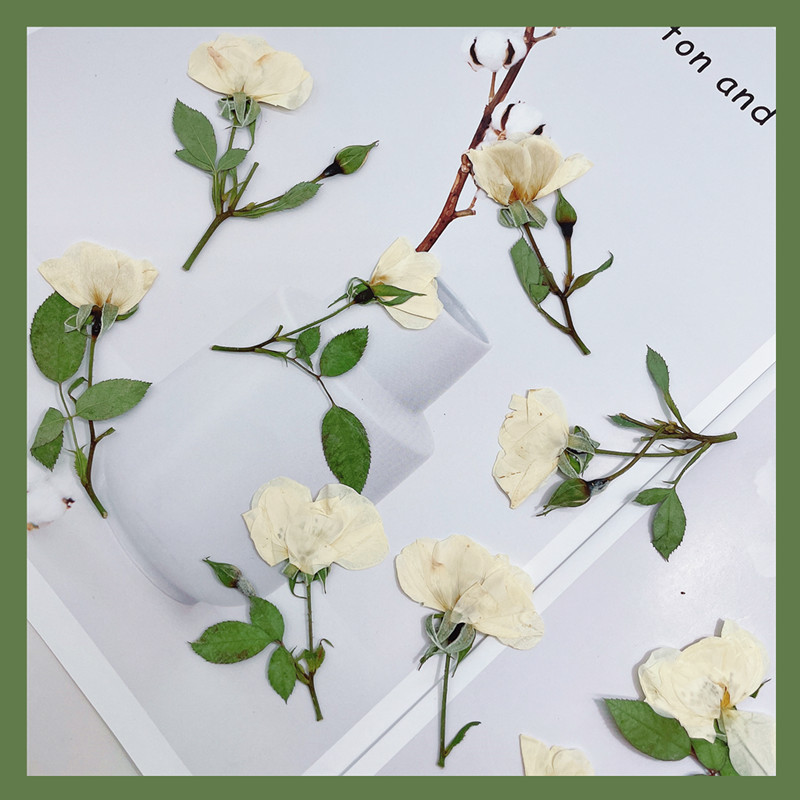 Wedding Card Box - 12 Peças, Ramos de Rosas Naturais